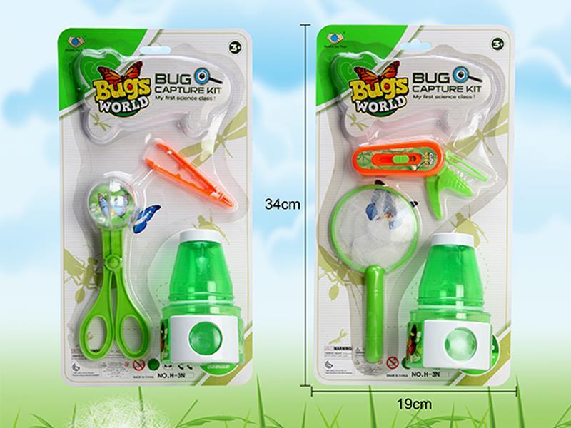 Insect Toy