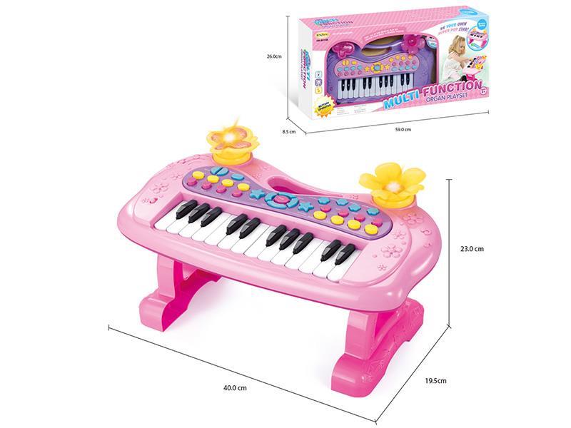 24 Keys  Electronic Organ