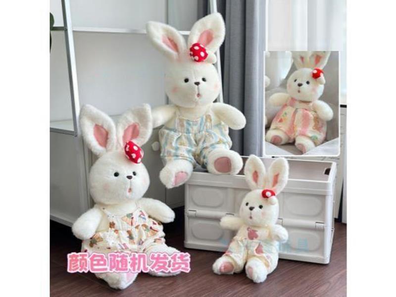 Mushroom Carrier Rabbit Medium Size ❤