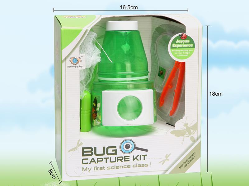 Insect Toy