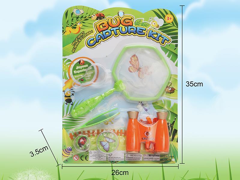 Insect Toy