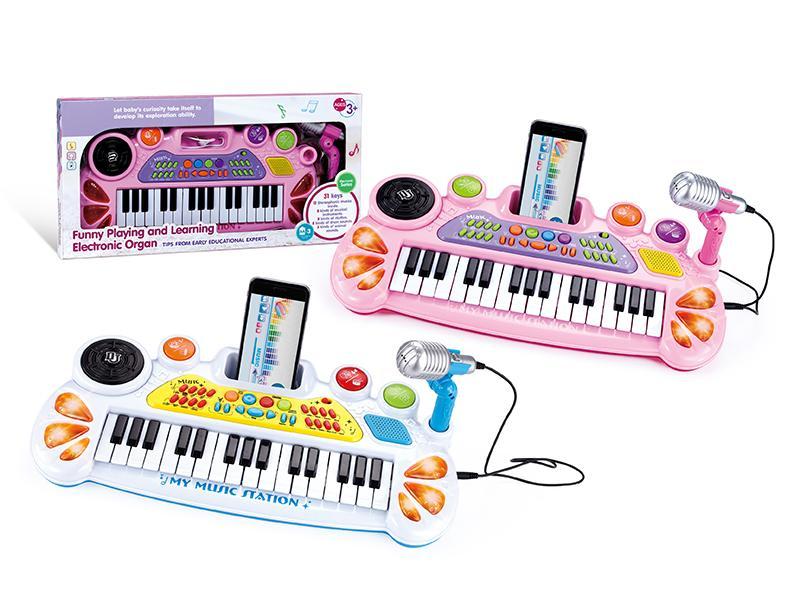 31 Keys  Electronic Organ