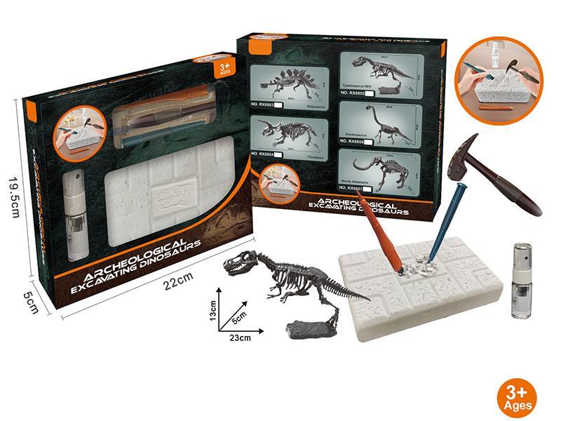 Archaeological Excavation Dinosaur(Tyrannosaurus)