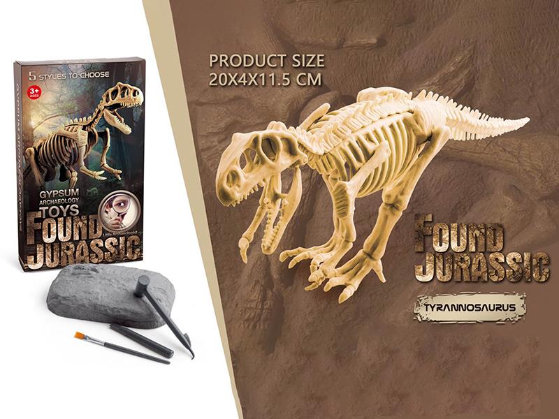 Dinosaur Fossil Archaeological Toy
