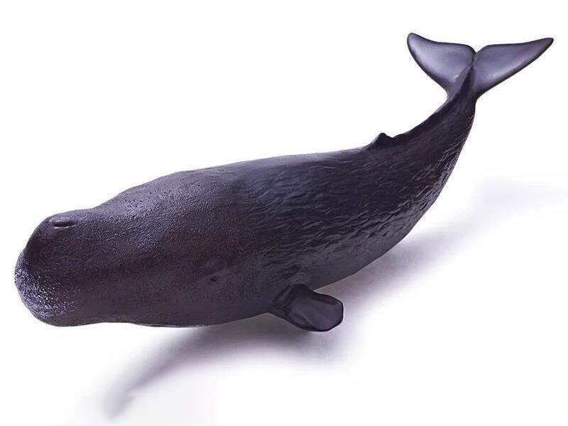 Vinyl Sea Animal Model - Sperm Whale