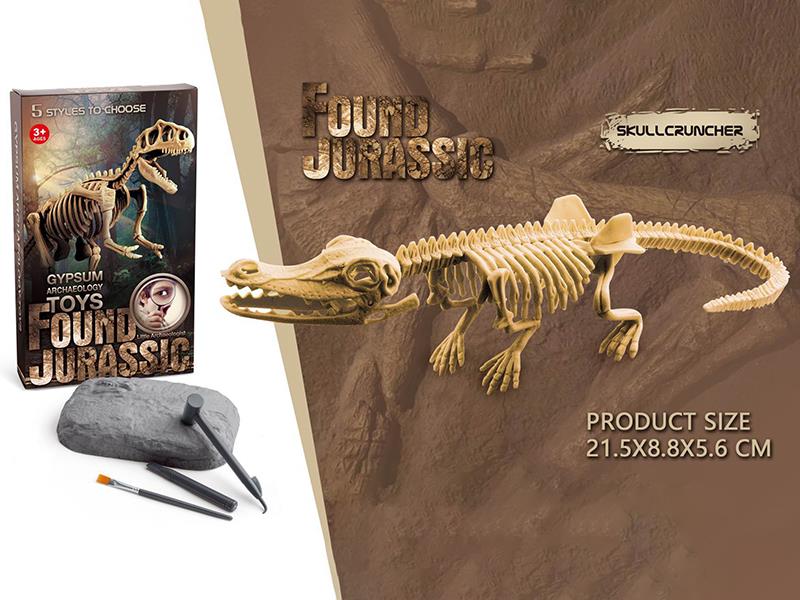 Dinosaur Fossil Archaeological Toy