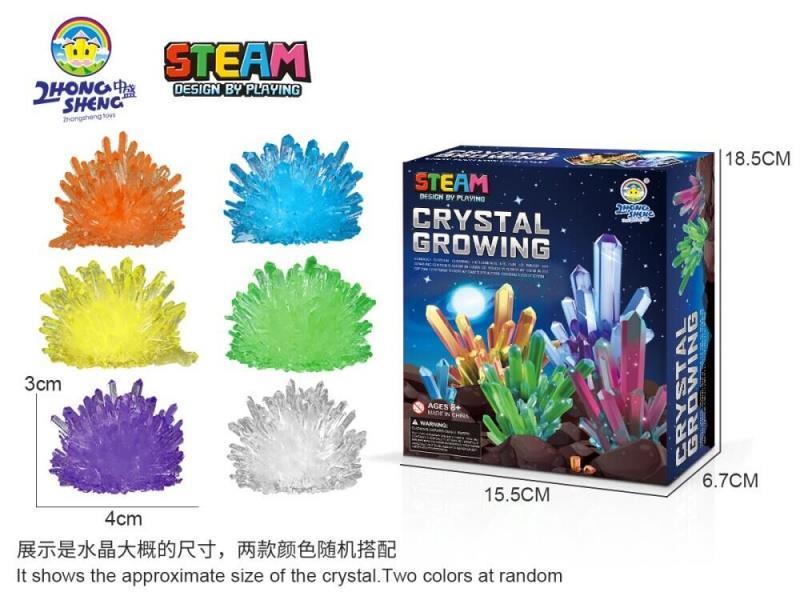 DIY Self-Growing Crystal Science Experiment (Small Crystal Seeds)