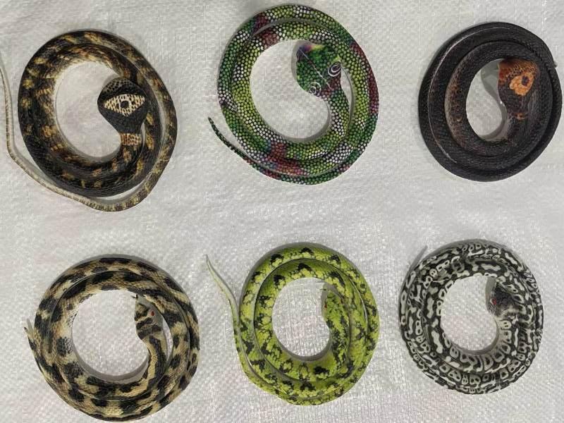 Tpr Anti-Snake Uv Printing No. 1, 24Pcs/ Box