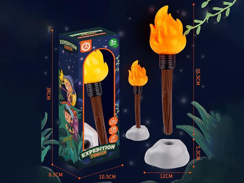 Torches With Sound And Light