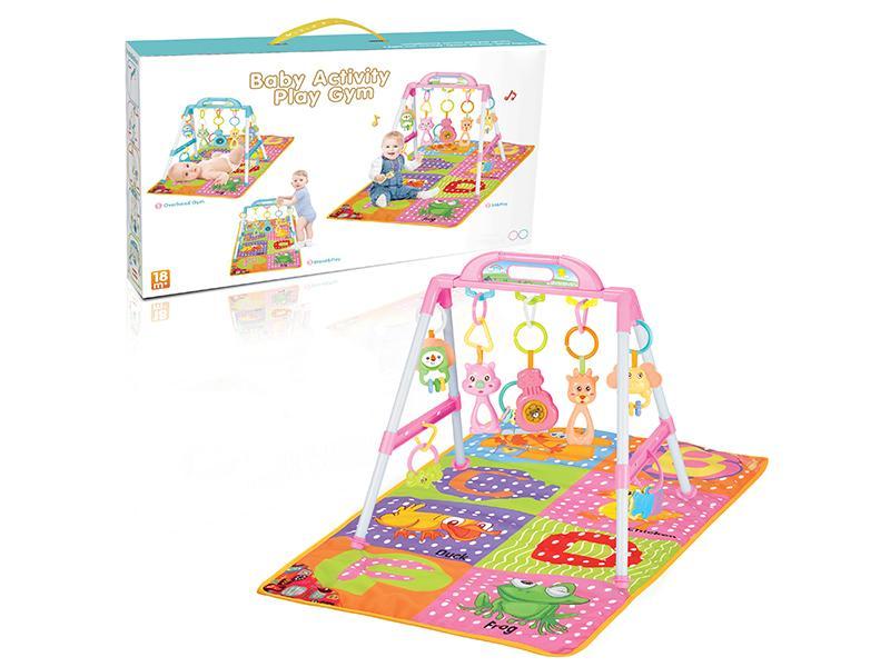 Baby Playing Gym + Carpet