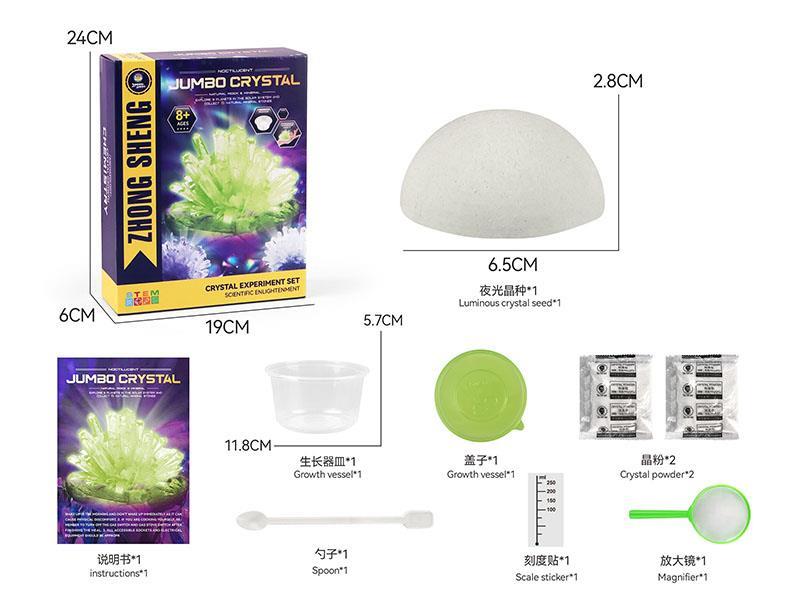 Scientific Experiment on Luminous Crystal Growth (Large Crystal Seed)