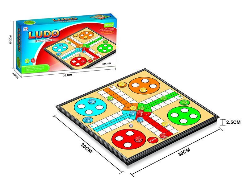 Ludo Brains Game(With Magnetism)