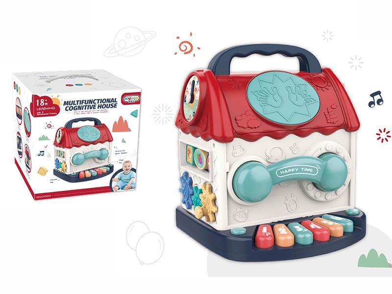 Multifunctional Cognitive House