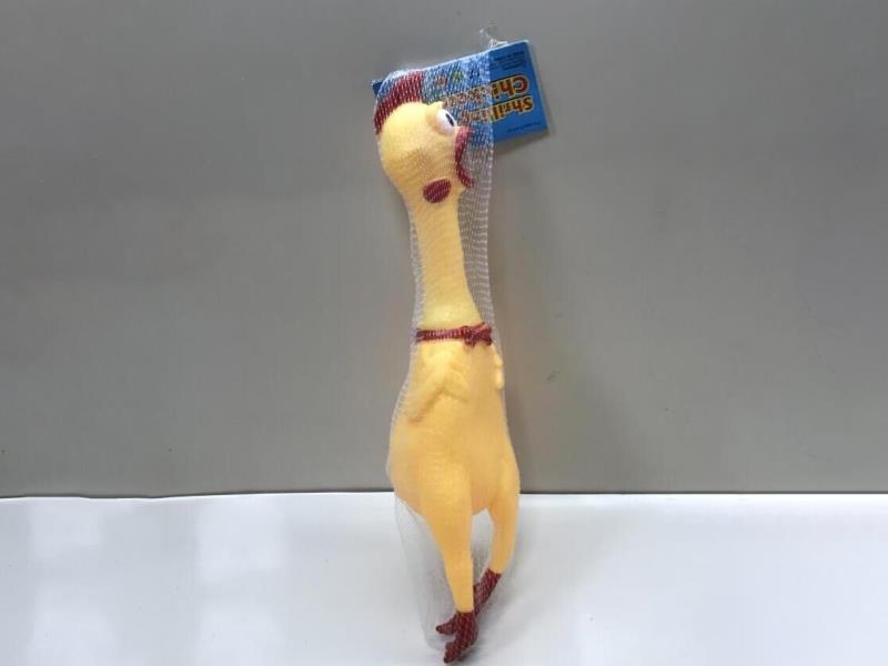 A Large-Sized Chicken Screaming In Pain