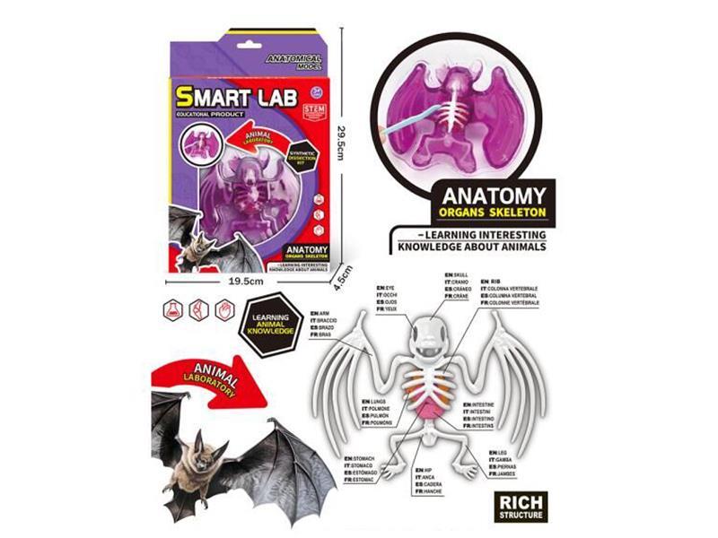 Displaning Experiment Set - Bat