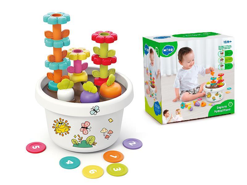 Explore Potted Plant