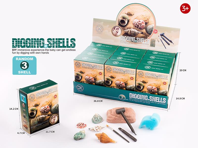 DIY Archaeological Toy(Shell)12PCS