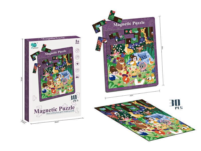 30PCS Outing Magnetic Puzzle