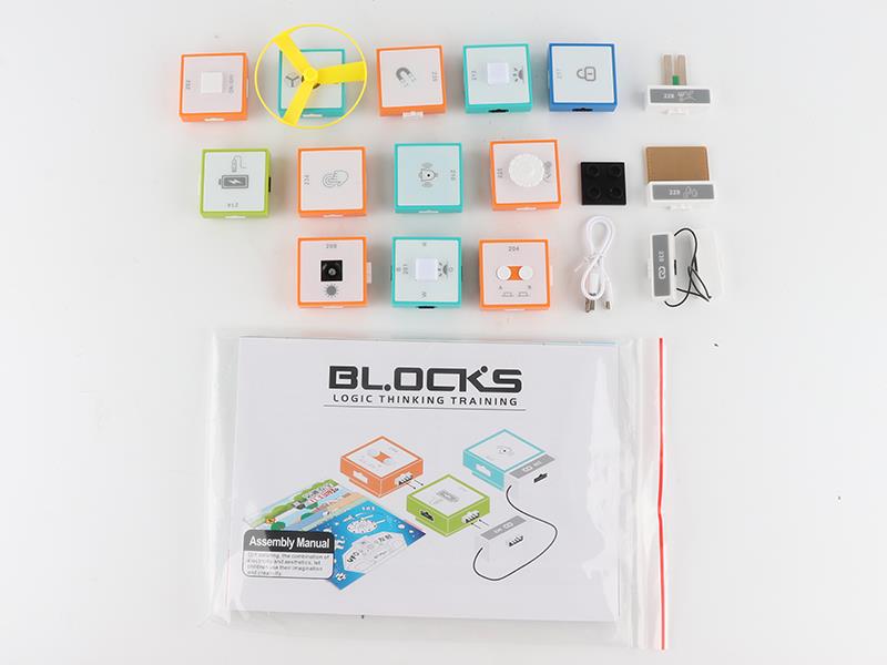 Logic Thinking Training Building Blocks