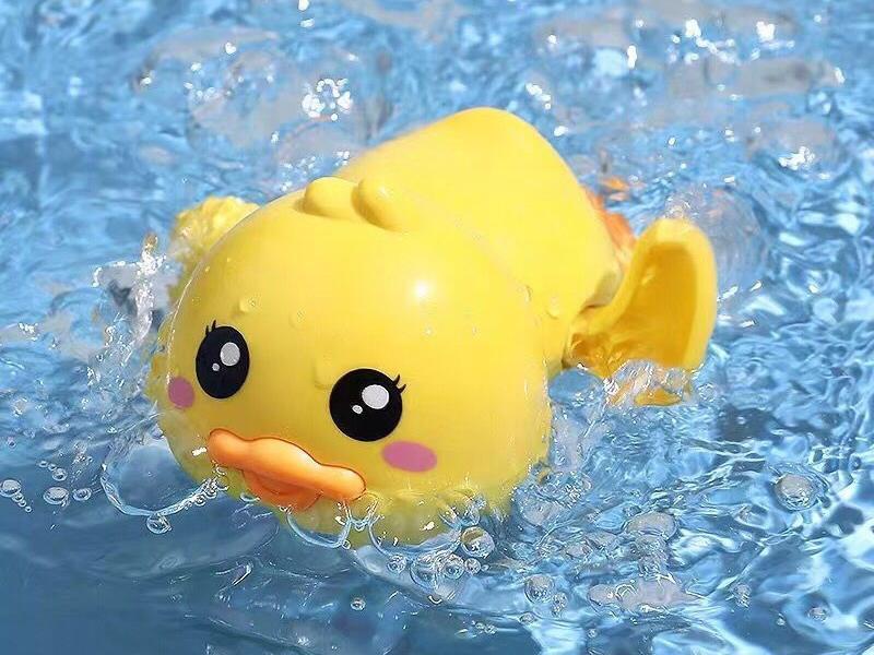 Wind Up Swimming Duck