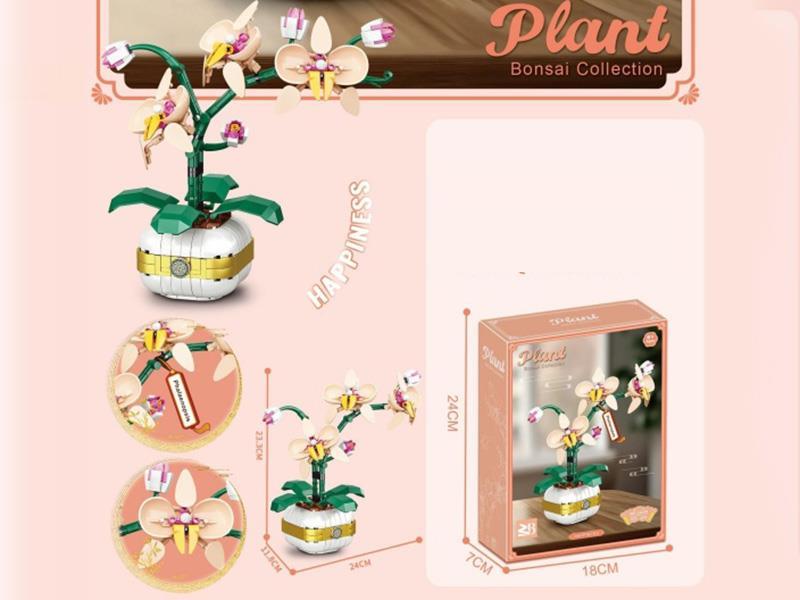 Building Blocks: 323 Pieces Of Phalaenopsis