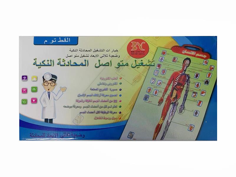 Arabic Human Organ Cognition Learning Wall Chart