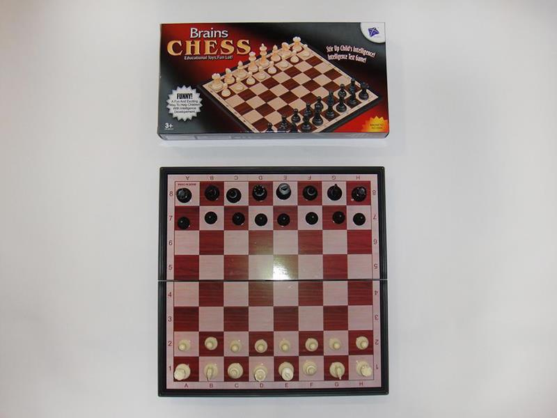 Magnetism Chess