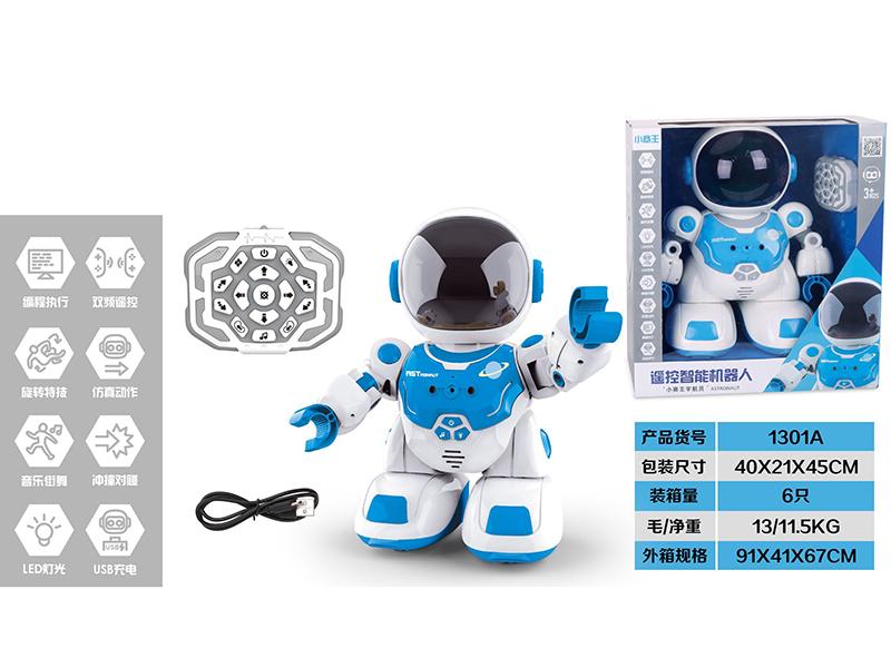 R/C  Intelligent  Robot