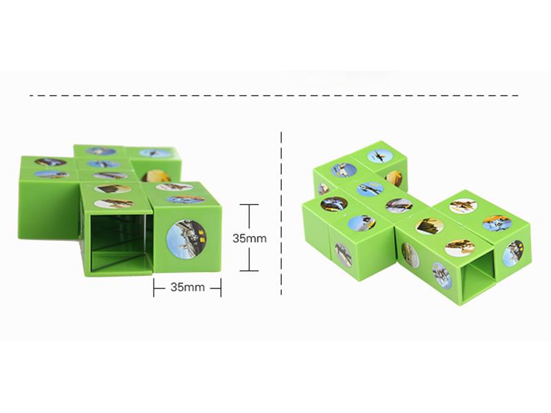 Optical Cube Experiment