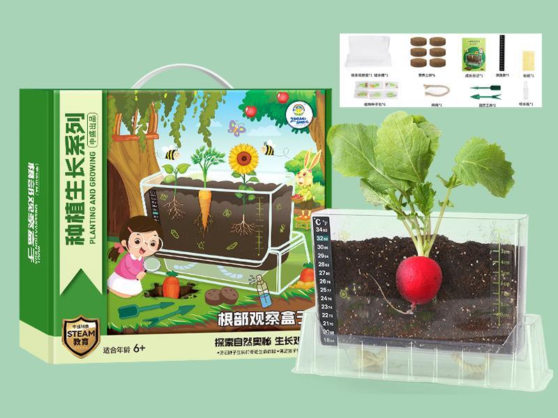 Root Observation Box