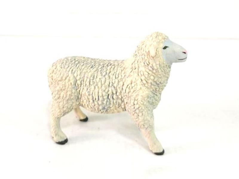 Merino Sheep (Female)