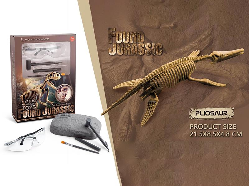 Dinosaur Fossil Archaeological Toy