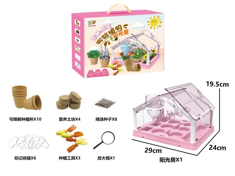 Experimental Plant Sunshine Room - Girls