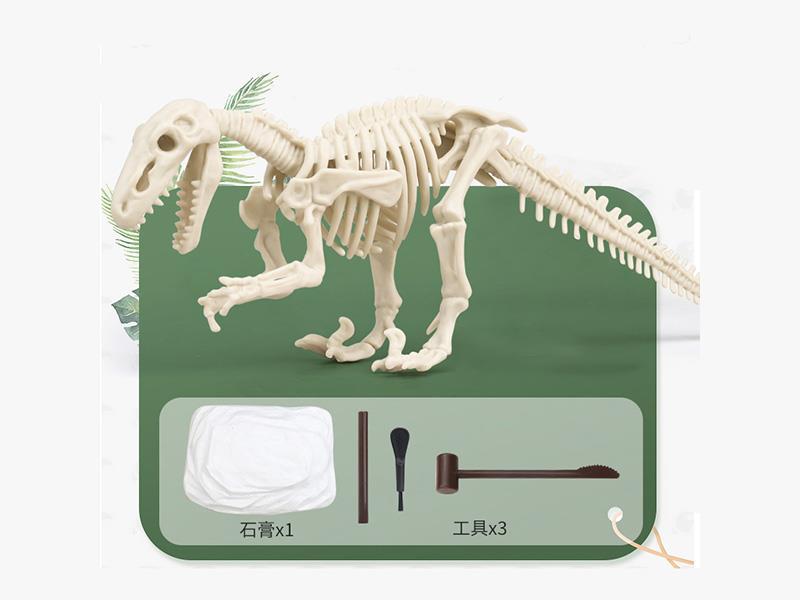 Archaeological Fossil Assembly Of Dinosaur Claws (Standard Version)