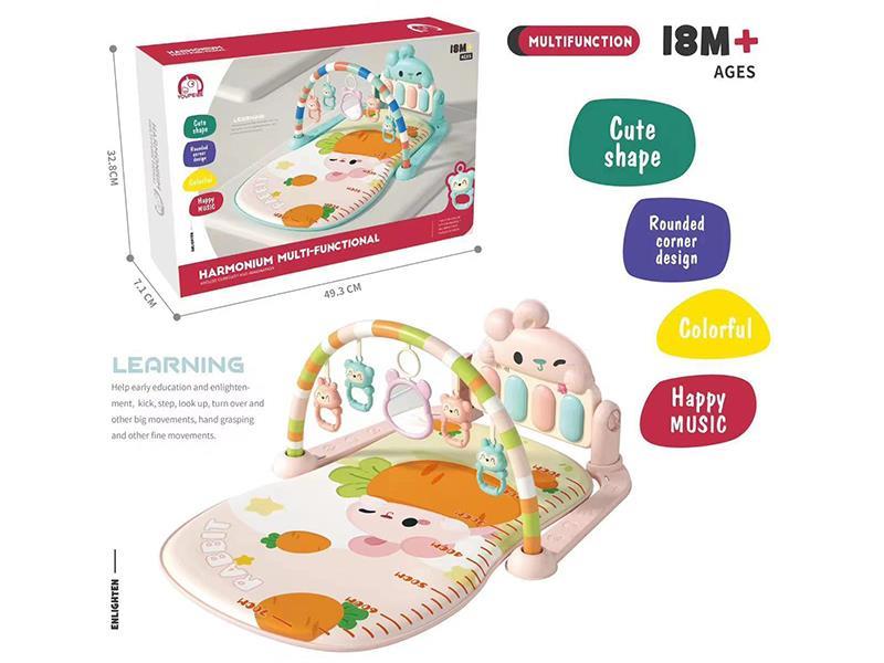 Pedal Piano Fitness Blanket - Rabbit