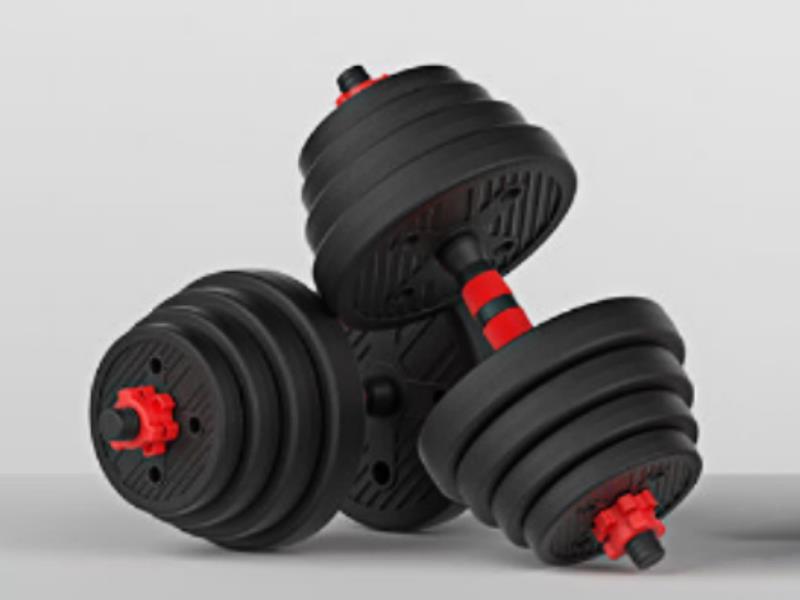 Red Pole Rounded Environmental Dumbbell -20KG
