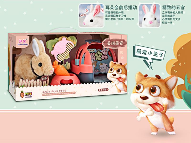 Cute Pet Rabbit+Cage