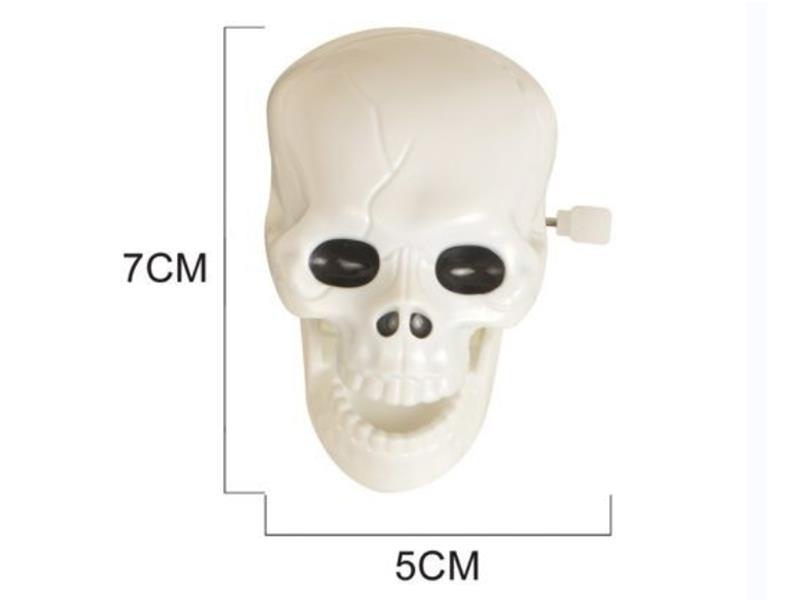 Wind Up White Skull
