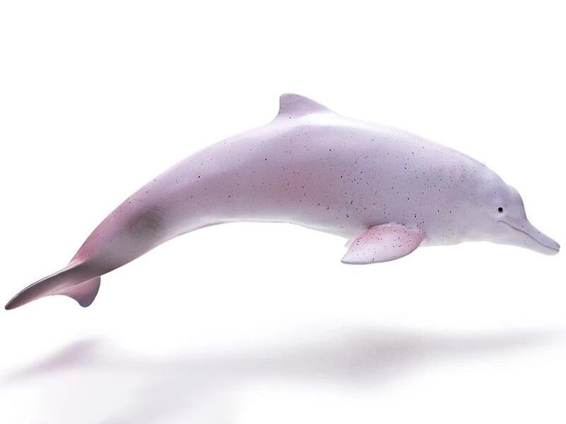 Vinyl Sea Animal Model - White Dolphin