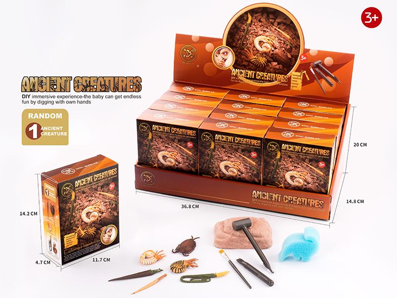 DIY Archaeological Toy(Ancient Creature)12PCS