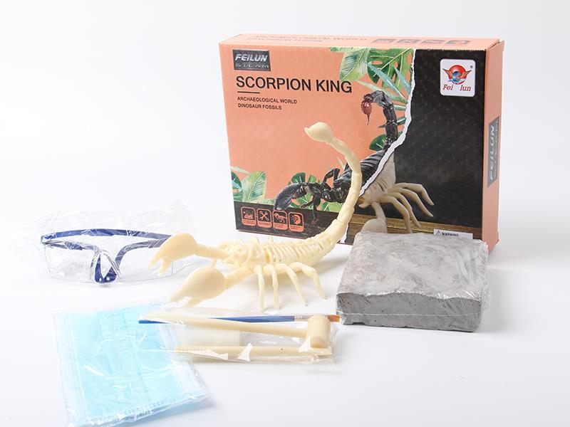 Fossil Collection - Archaeological Excavation -Scorpion King