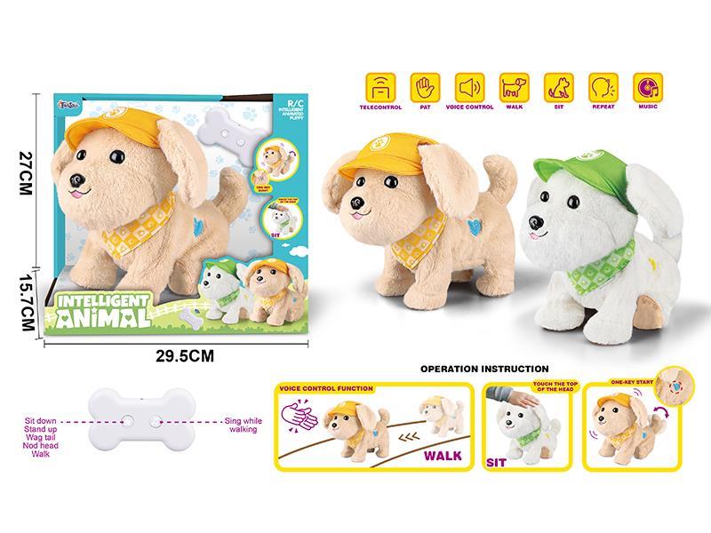 Intelligent Pet - Bichon Frise