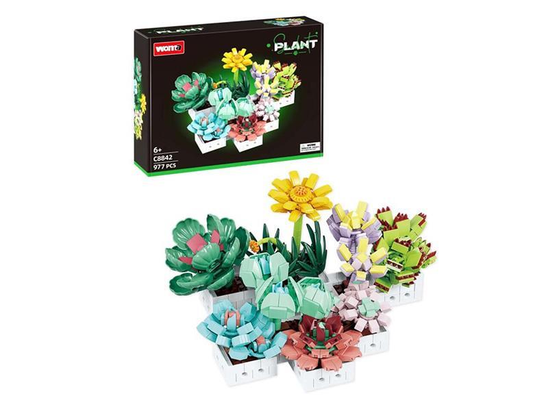 Building Blocks: Succulent Combination