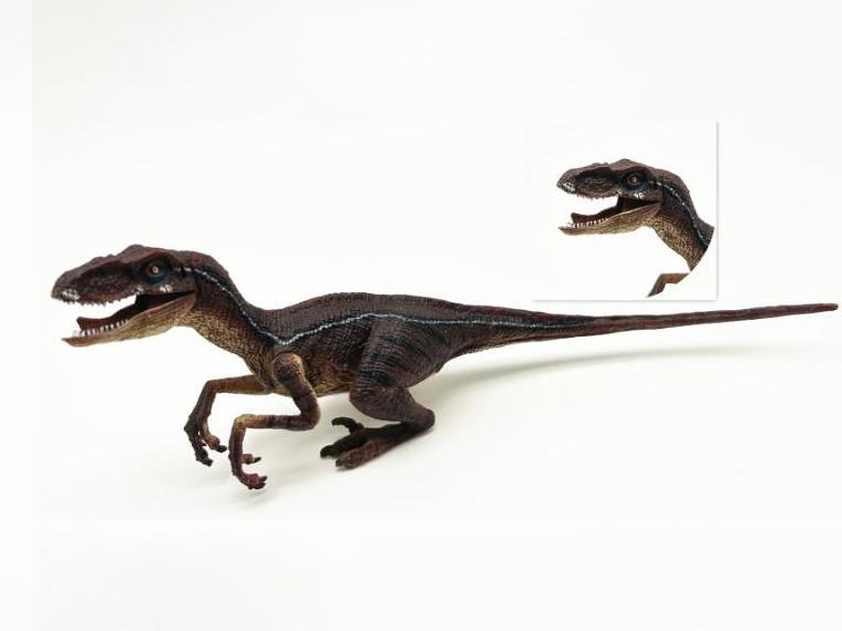 The New Brown Squatting Velociraptor