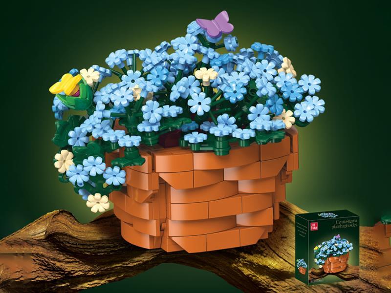 Ceratostigma Plumbaginoides Building Blocks 365pcs