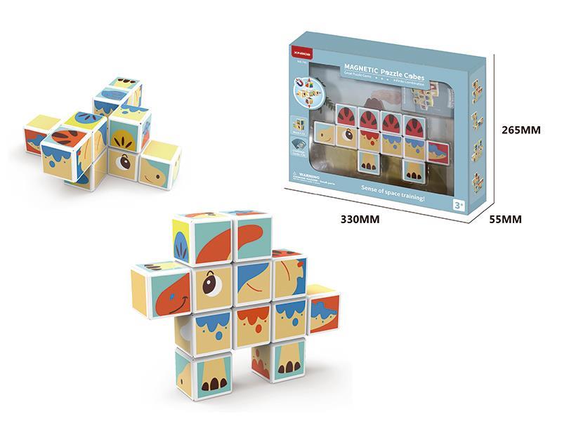Magnetic Puzzle Cubes 12pcs