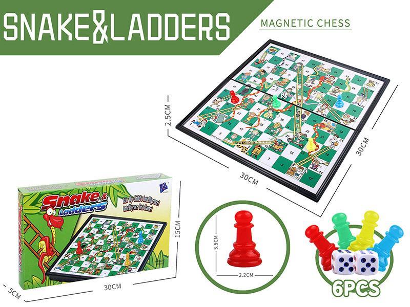 Snakes&Ladders Magnetic Chess