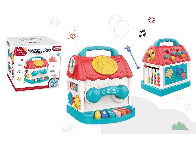 Multifunction  Cognitive House