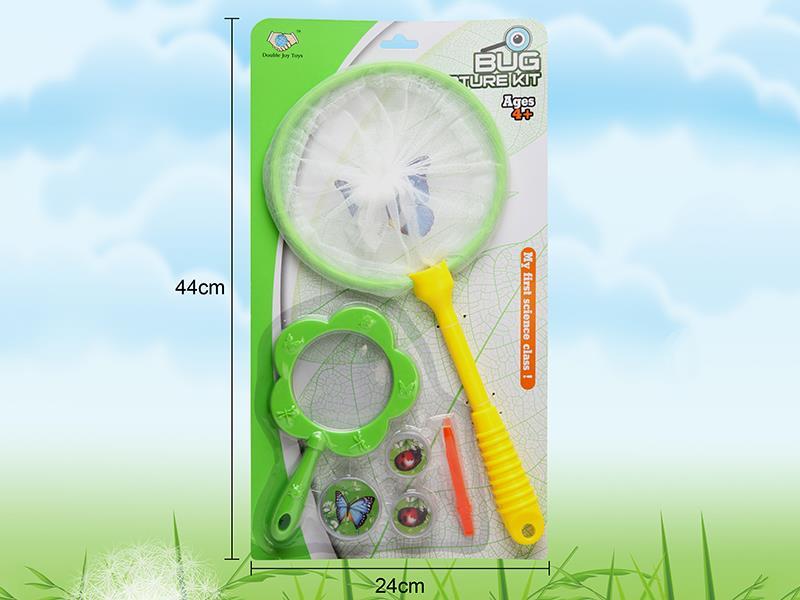 Insect Toy