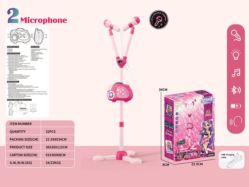 2 Microphone Karaoke Speaker With Bluetooth, Lights, Music